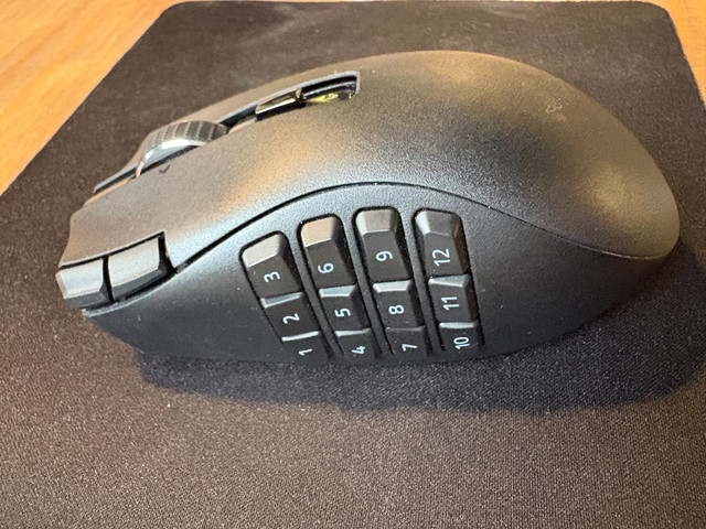 Naga2
