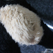 IMG-8840