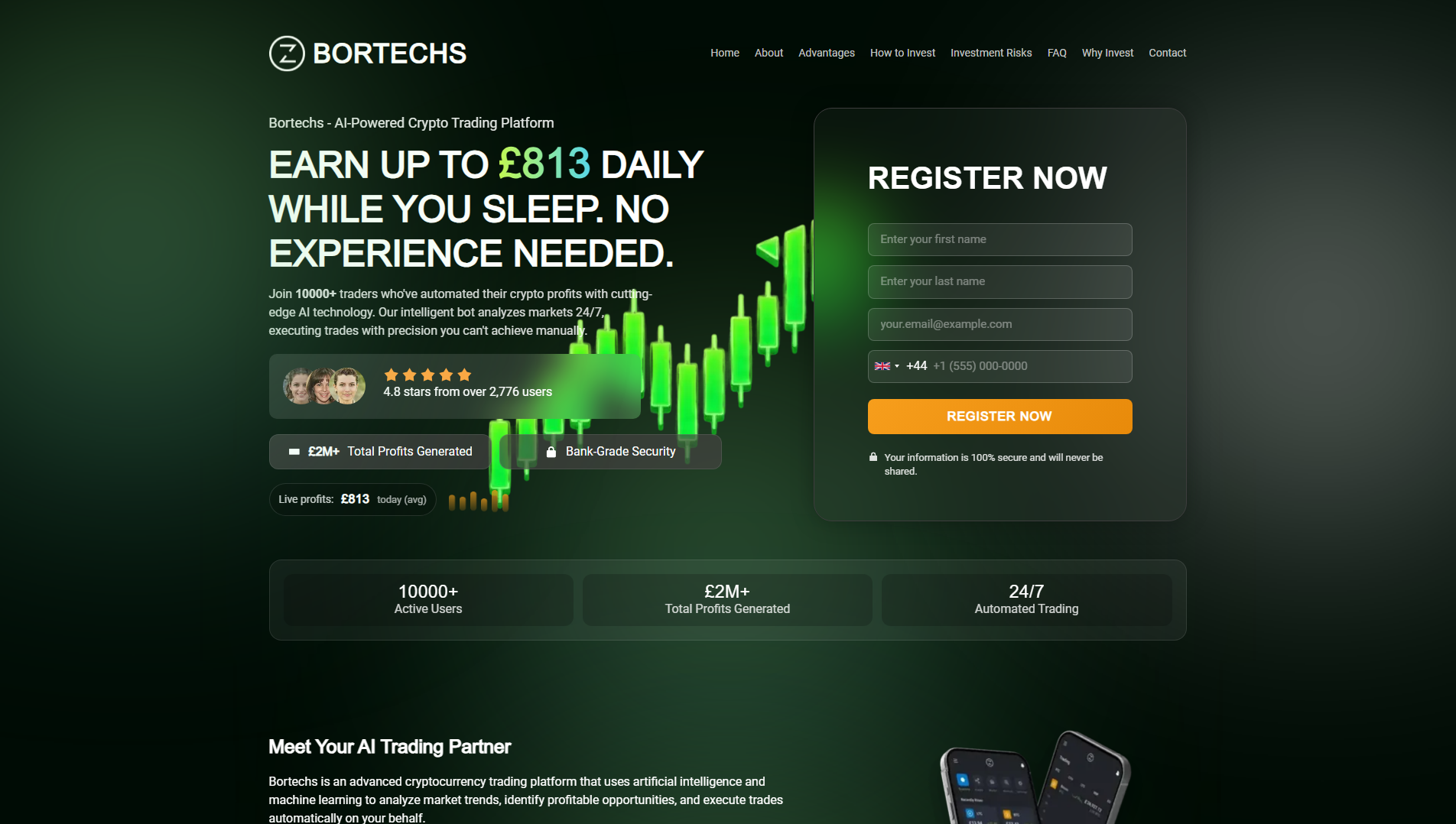 Stored capture of bortechs.net