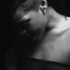 41.gif