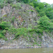 DSC05830