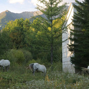IMG 0331
