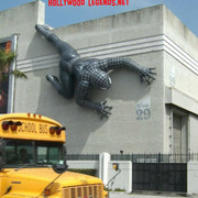 mgm oz ss