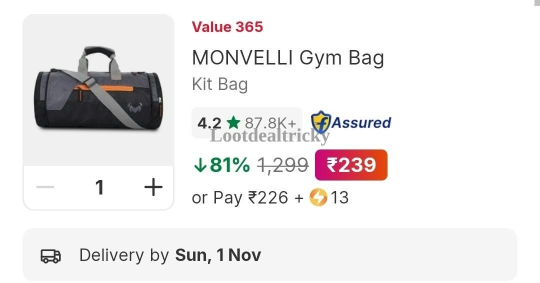 Gym Bag Large – Just ₹239 | Best Deal