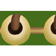 78