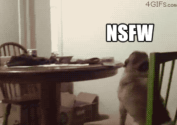 [Image: bish-5.gif]