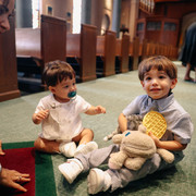 IMG 8492
