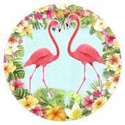 2101262-Flamingos-Ana