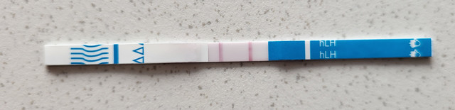 20260809-100402.jpg