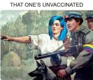 https://i.ibb.co/0phgkjb0/11jj.jpg