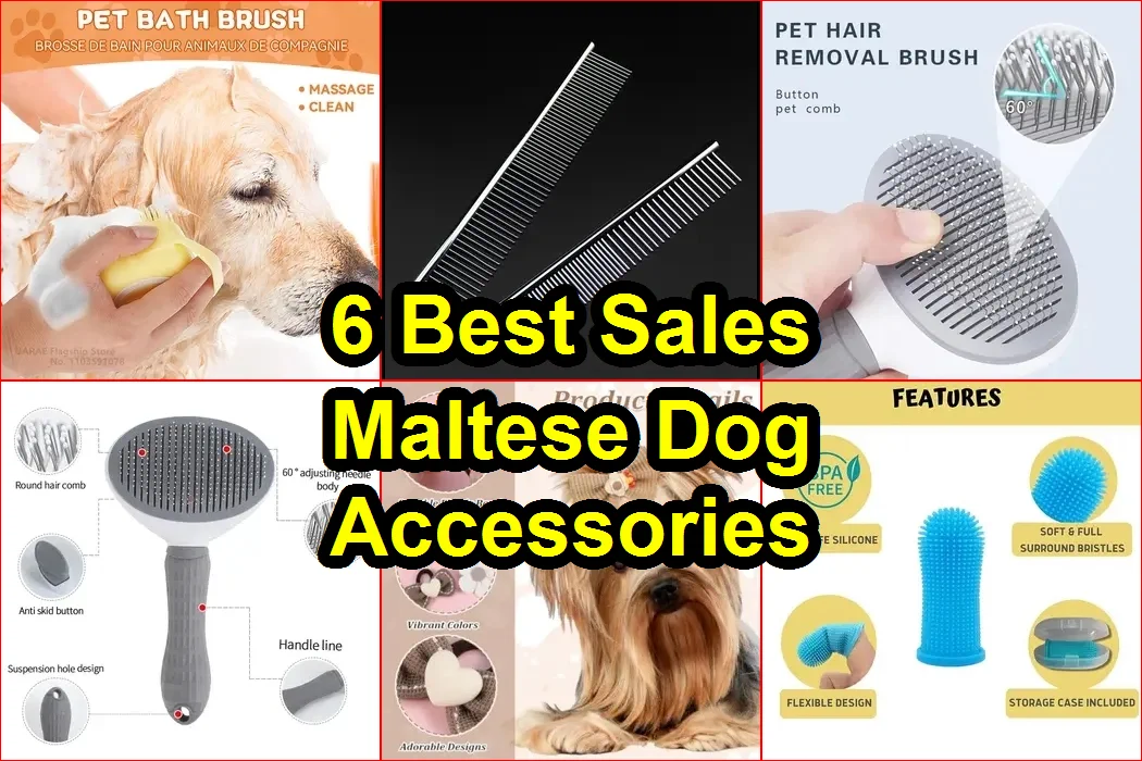 馬爾濟斯犬用品 評價