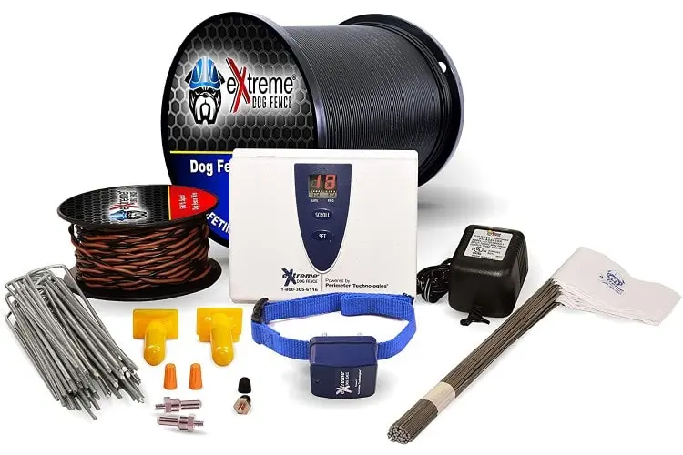 Electric Dog Fences: A Safe and Cost-Effective Solution for