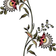 774f51e3f79e4e2bb4ea2bc81994d4de