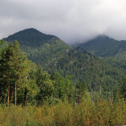 IMG 0454
