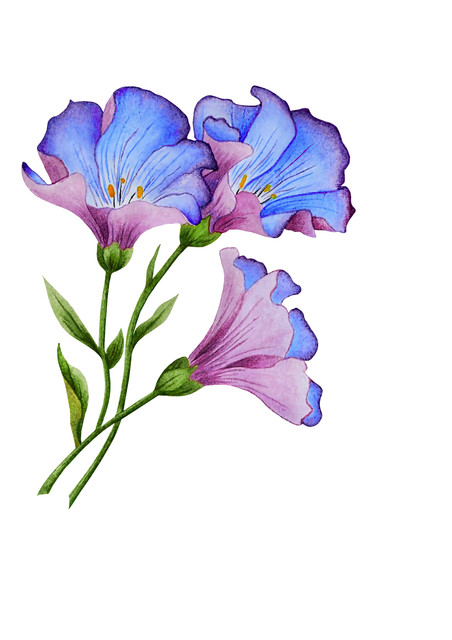 shutterstock 1884582622.jpg
