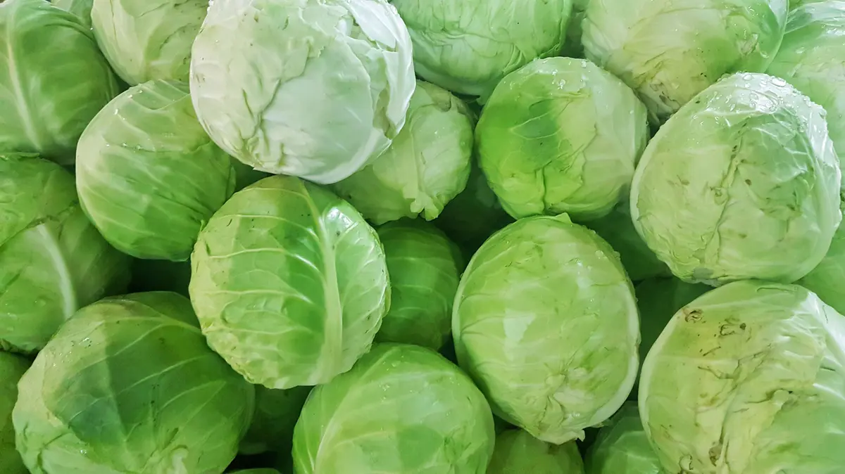 Elevate Your Cabbage Dishes Using This Simple Pantry Staple