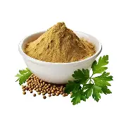 CORIANDER {DHANIYA} POWDER