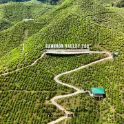 Cameron Valley13