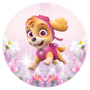 2102328-Patrulha-Canina-Rosa-Ana