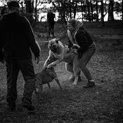 IMG-6416