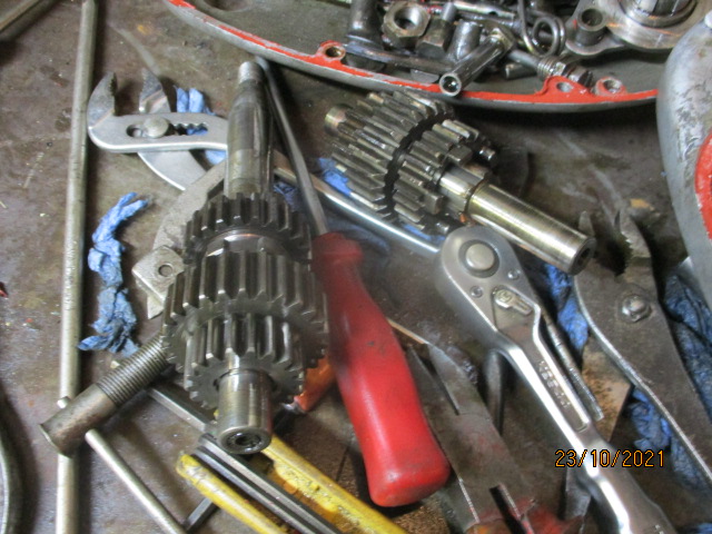 IMG-8875.jpg