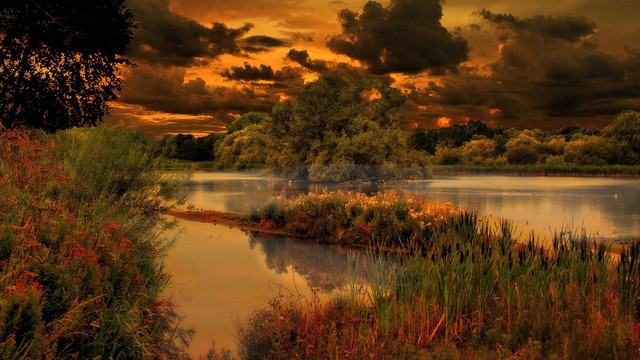 wallpaperbetter-com-1920x1080-rtu