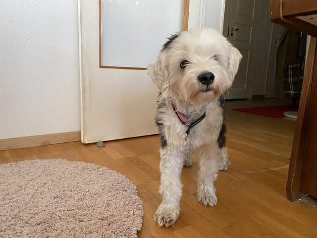 CF147-D95-7639-47-AE-AE95-48126-A07-E7-D