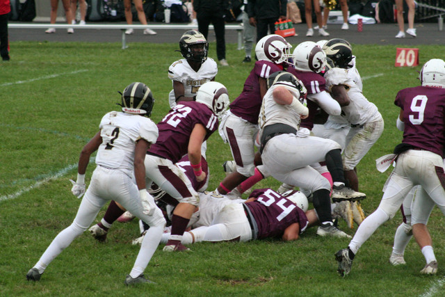 IMG-8334.jpg
