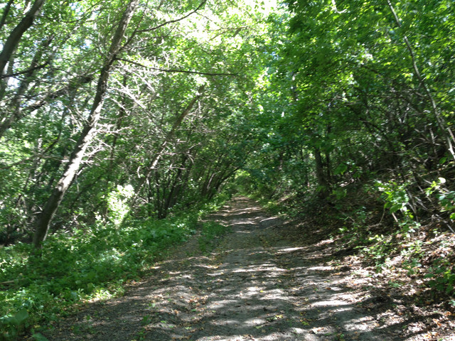 IMG-4156.jpg