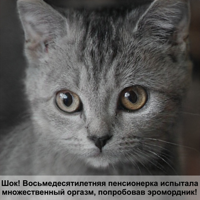 Загружено: Юлия Бажина. Россия Пермь