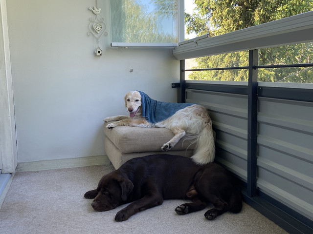 8674-B968-49-B0-4-F2-C-8263-7-EEDC3-CAFF