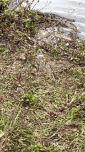 668.gif