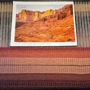 IMG-3581