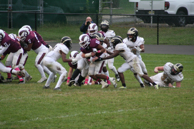IMG-8478.jpg