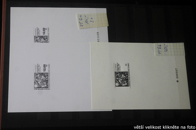 IMG-2388.jpg