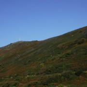 DSCF5494