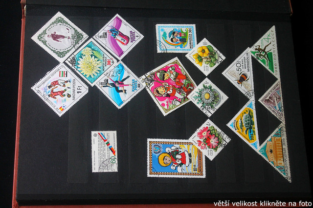 IMG-2342.jpg