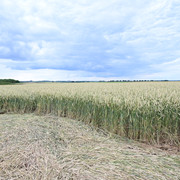 DSC-7044