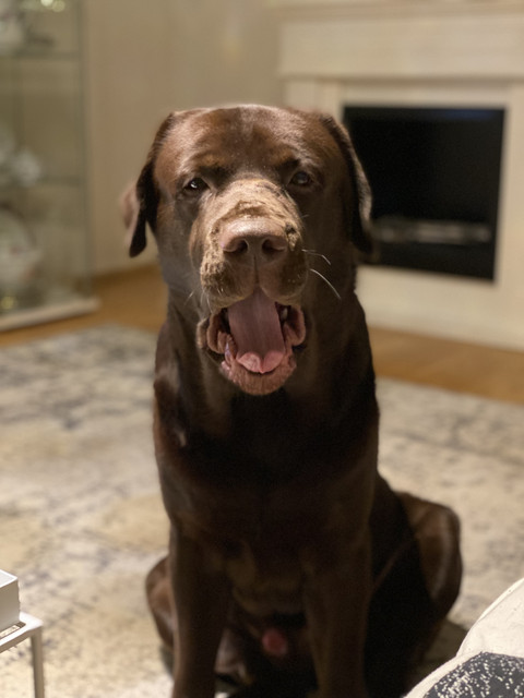 113-CD34-C-FB94-4162-819-D-6-DAB383-CEF0