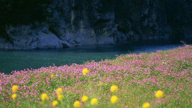spring-016