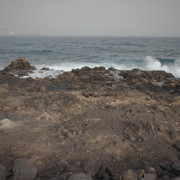 DSC00895