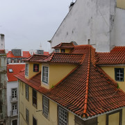 IMGP7562-1