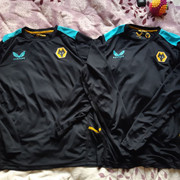 wolves-21-train-LS