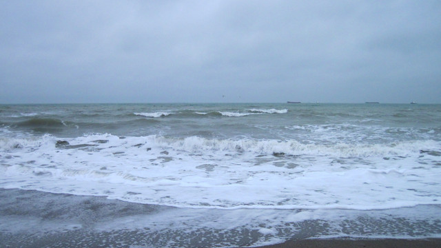 IMG-1819
