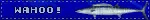 IMG 2687.gif