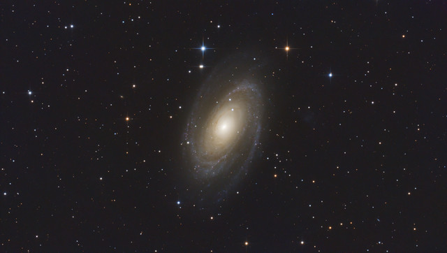 m81