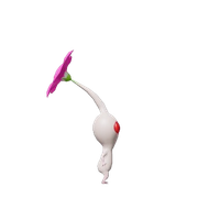 white7 removebg preview