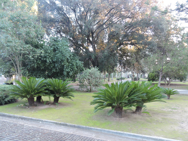 DSCN7993