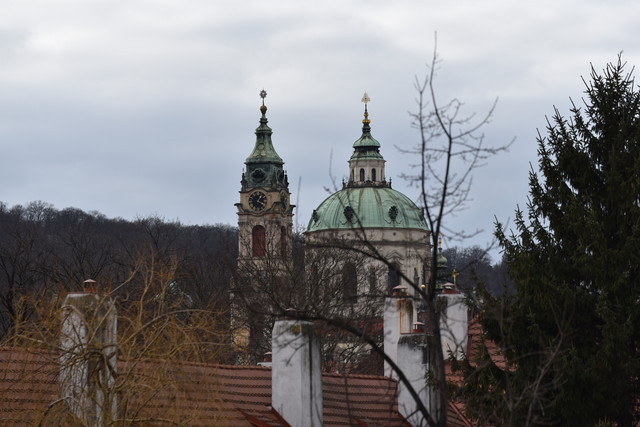DSC 3167.jpg