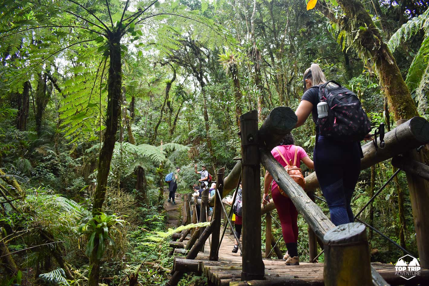 Caminho de Itupava